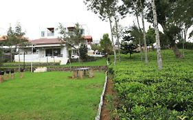 Bison View Resort